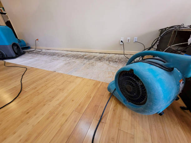 Professional Basement Flood Cleanup technician working in Albany, GA